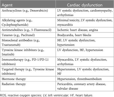 The role of stress echocardiography in identifying cardiotoxicity: an in-depth exploration